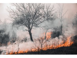 Orman yangınlarına karşı hangi önlemler alınmalı?