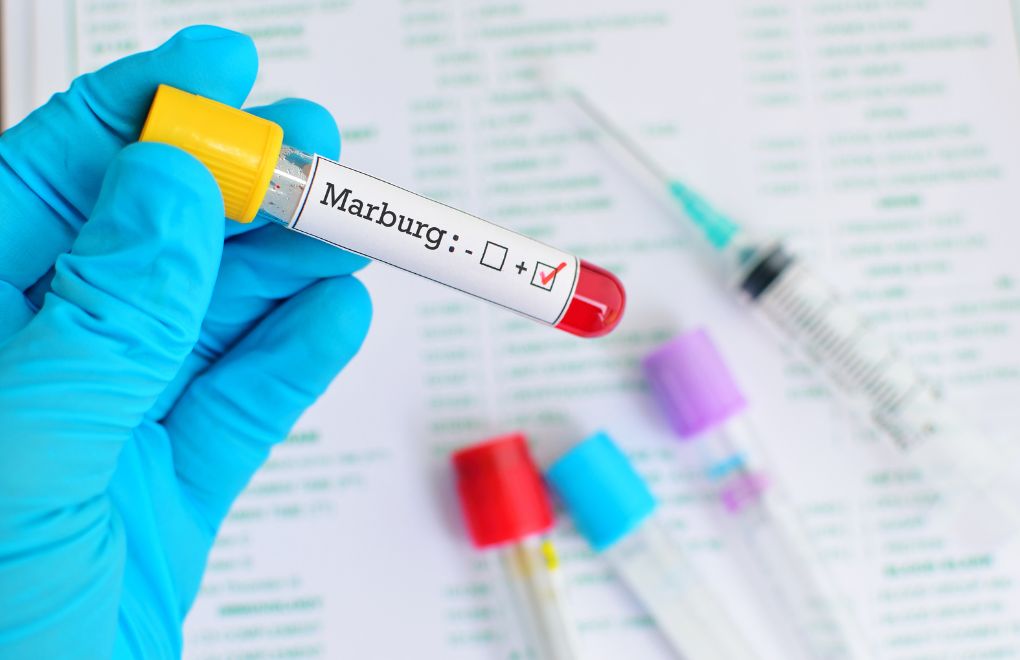 Marburg virüsü nasıl bulaşır?
