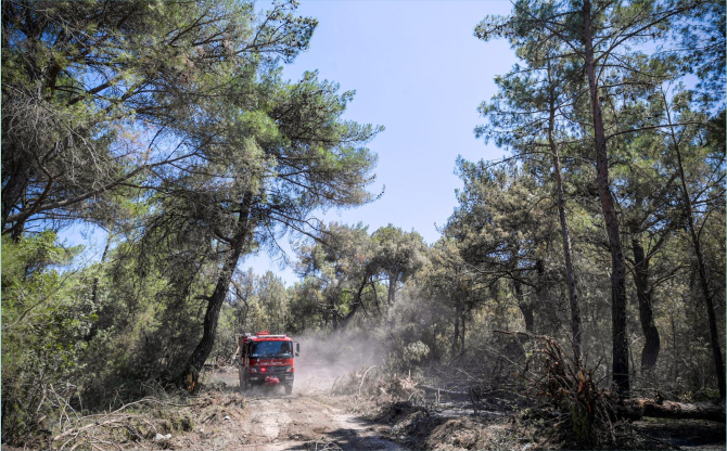 İzmir İtfaiyesi orman yangınlarına karşı 7 gün 24 saat nöbette