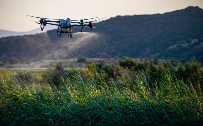İzmir’de sivrisinekle havadan ve karadan mücadele sürüyor