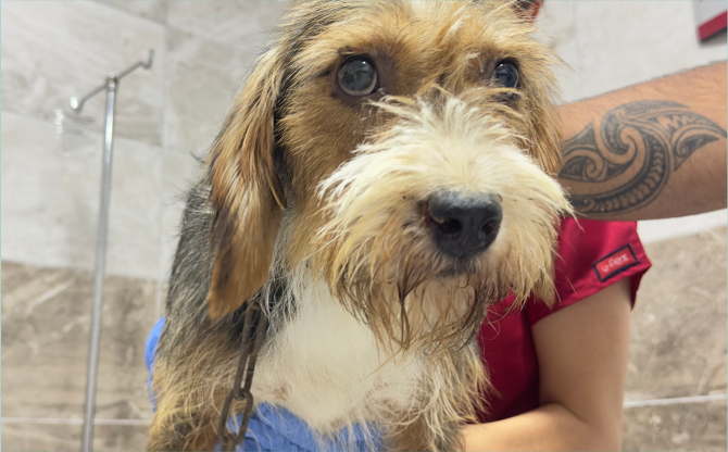 O can dostlara Menemen’de şefkat eli