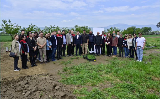 İzmir'de 17 Bin Kuşkonmaz Fidesi Üreticilere Dağıtıldı
