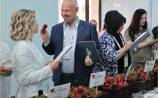 Emiralem Çilek Festivali rekor kırdı: milyonu geçti!