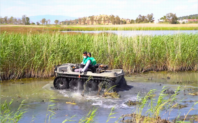 Aliağa Belediyesi’nden Haşerelere Karşı Yoğun Mücadele