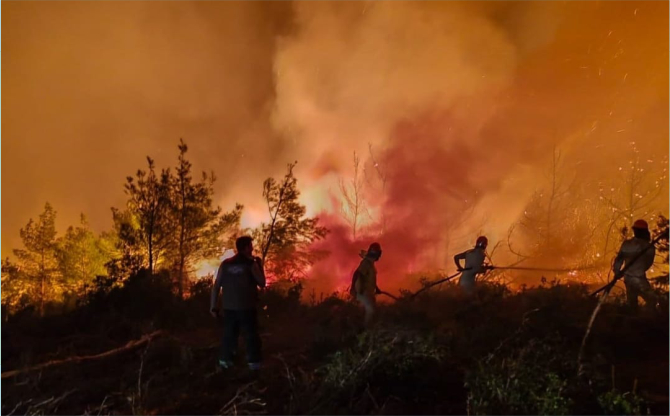 Hasat Mevsiminde Orman Yangın Alarmı