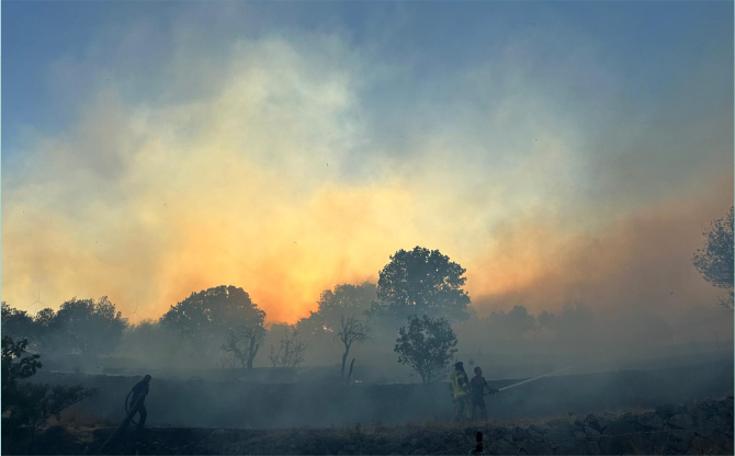 İzmir İtfaiyesi Dikili’deki yangına müdahale ediyor