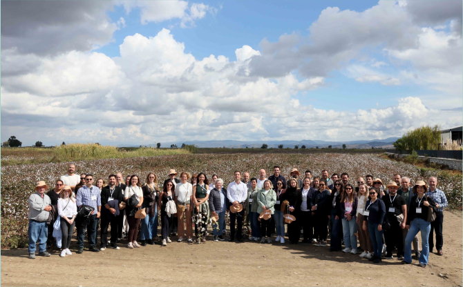 Pamukta Kriz Alarmı: Çözüm Sürdürülebilir Üretimde