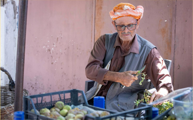 Beydağ incirinin katma değeri artıyor