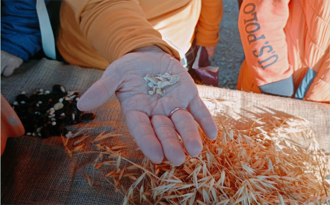 Tohumdan toprağa, topraktan sofraya