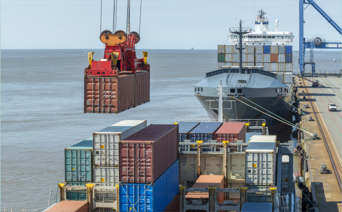 Ege Yaş Meyve Sebze İhracatında Sürdürülebilirlik Hamlesi