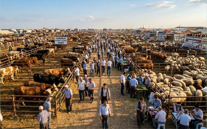 Palandöken: “Bu Yıl Kurbanlık Fiyatları 25 Bin Tl’den Başlıyor”
