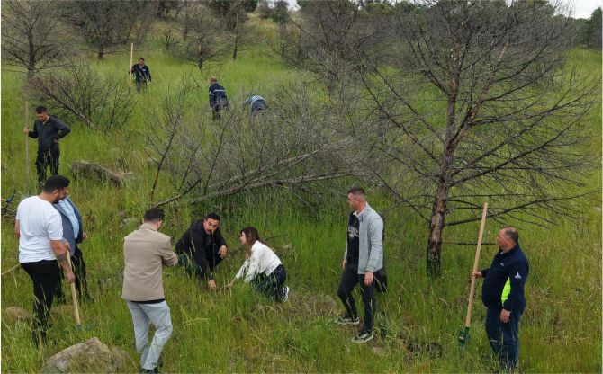 Aliağa’da yangınların yarası bin fıstık çamıyla sarıldı