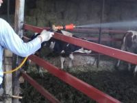 Sarayköy Belediyesi’nden Karasineklere Etkin Çözüm