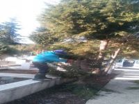 Mezarlıklarda Budama Başladı