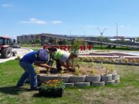 Edremit Gelişiyor, Güzelleşiyor