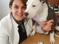 Evcil hayvanınızla uyumak güvenli mi?