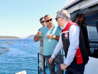 İzmir’deki Orkinos Çiftlikleri Dünyaya Açılıyor