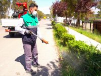 Aliağa Belediyesi’nden Haşerelere Karşı Yoğun Mücadele