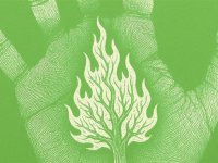 OGM’den kritik uyarı: Sıcaklık Artışı Orman Yangınlarını Tetikleyebilir