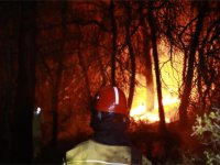 Hasat Mevsiminde Orman Yangın Alarmı