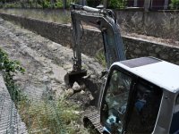 Bozköy Deresi Hayat Buluyor