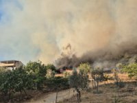 Aliağa Bozköy Mahallesi orman yangını kontrol altında