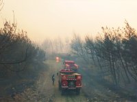 Aliağa ve Foça’daki Yangınla Mücadelede Ekiplerin Zorlu Anları