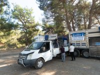 Büyükşehir’den yanan köylere 40 tonluk yem desteği