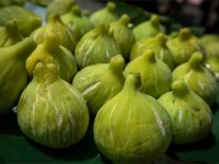 Beydağ incirinin katma değeri artıyor