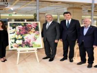 Makedonyalı Sanatçıdan Bursa’da Resim Sergisi