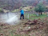 Gördes’in Mezarlıkları İlaçlanıyor